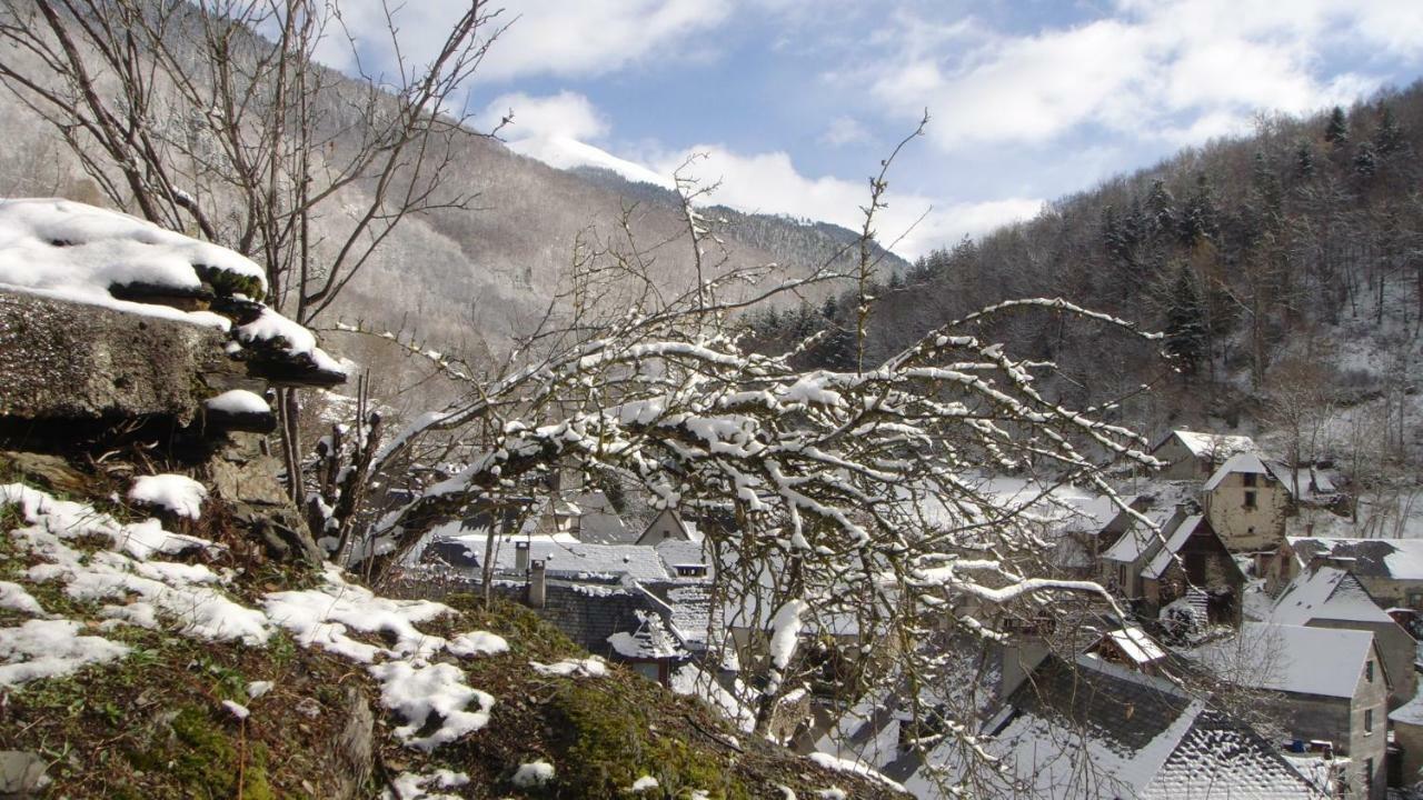 Gite Vallee Des Nestes Bareilles Экстерьер фото
